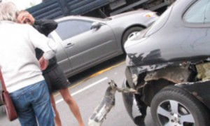 Фото Игоря Волина 