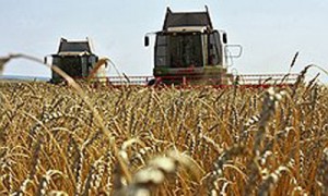 Фото: Василий Александров / Коммерсантъ