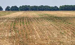 Фото: Олег Харсеев / Коммерсантъ