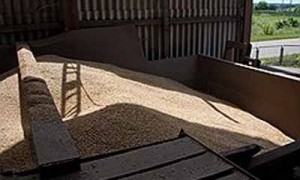 Фото: Украинское фото 