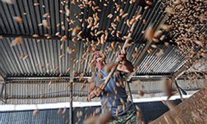 Фото: Денис Вышинский / Коммерсантъ