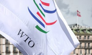 Ответные меры стран ВТО против Украины ударят по отраслям, получающим господдержку