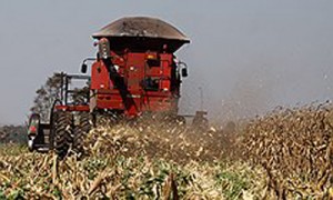 Выяснение отношений между Kernel и «Батькивщиной» проходят в пылу серьезной борьбы. Фото: Reuters