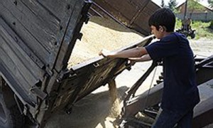 Фото: Глеб Щелкунов / Коммерсантъ