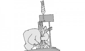 Земельный банк Valinor на 70% расположен в зоне «нерискового земледелия». Фото: Виктор Чумачев