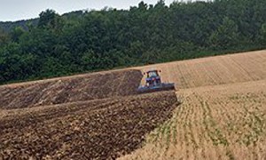 Фото: Денис Вышинский / Коммерсантъ