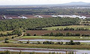 Фото: Евгений Переверзев / Коммерсантъ