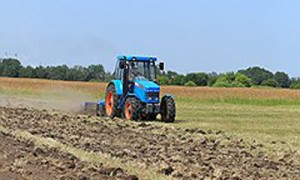 Фото: Максим Кимерлинг / Коммерсантъ