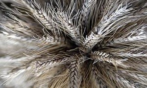 Фото: Роман Яровицын / Коммерсантъ