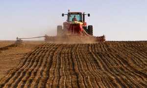 Фото Shutterstock