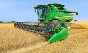 Фото Shutterstock