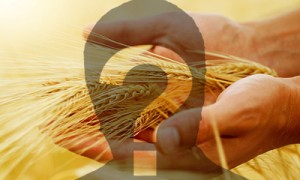 Фото Shutterstock