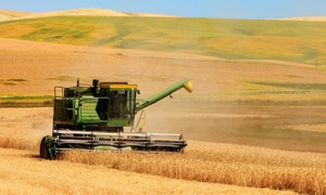 Фото Shutterstock