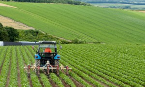 Фото Shutterstock