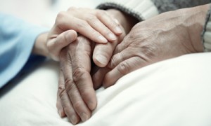 Фото Shutterstock