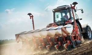 Фото Shutterstock