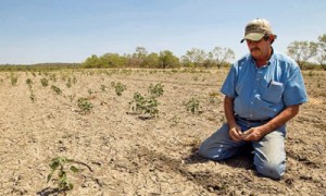 Фото: Jay Janner