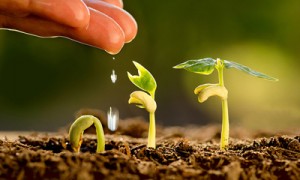 Фото Shutterstock