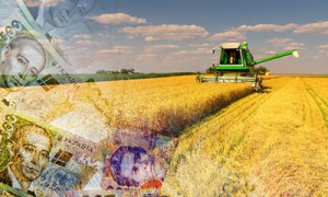 Фото Shutterstock