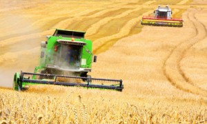 Фото Shutterstock