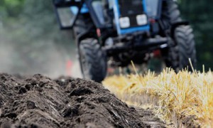 Фото: nr2.com.ua