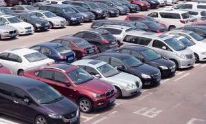 Фото Shutterstock