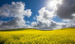 Фото shutterstock