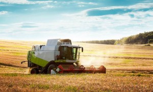 Фото: Пресс-служба РСХБ