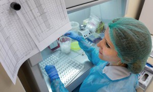 Фото: Сергей Бобылев / Коммерсантъ