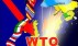 ВТО не имеет права вводить торговые санкции против Украины - Азаров