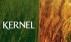 «Кернел» закончил I полугодие с прибылью $66,4 млн