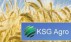 Агрохолдинг KSG Agro передал Укрсоцбанку активы в счет погашения задолженности